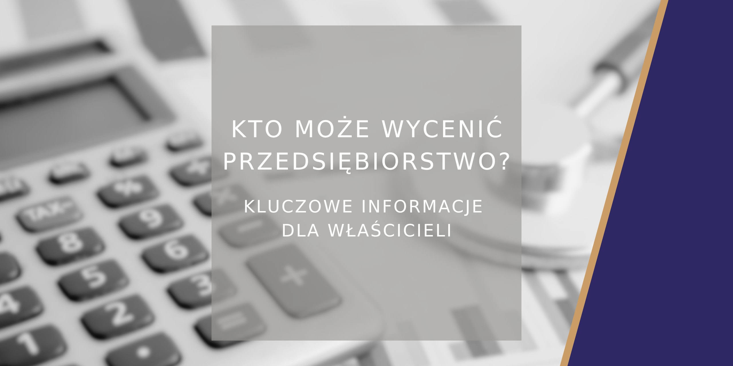 Profesjonalna wycena firmy - kto może wycenić przedsiębiorstwo w Polsce? - Poradnik