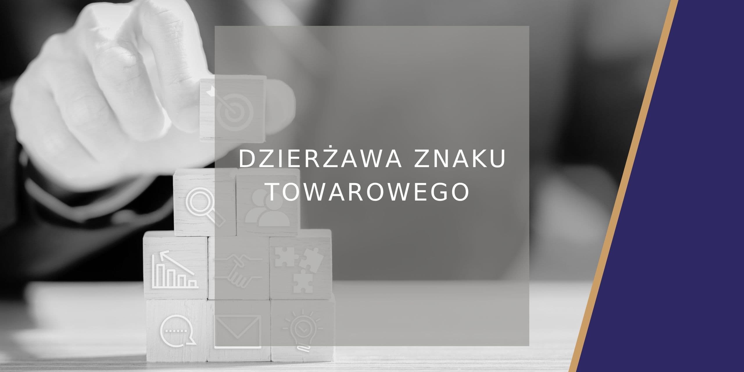 Dzierżawa znaku towarowego - poradnik